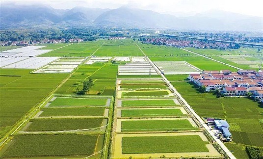 我国将稳步推进第二轮土地延包整省试点